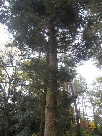 f0166824_21401335.jpg