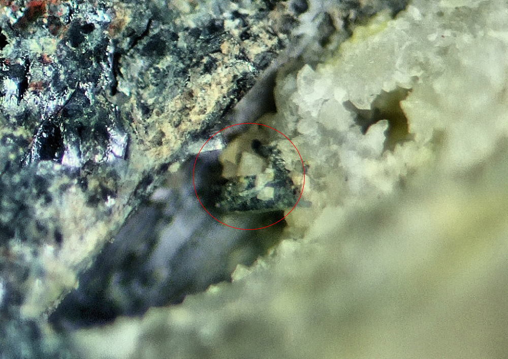 d0045626_21491351.jpg