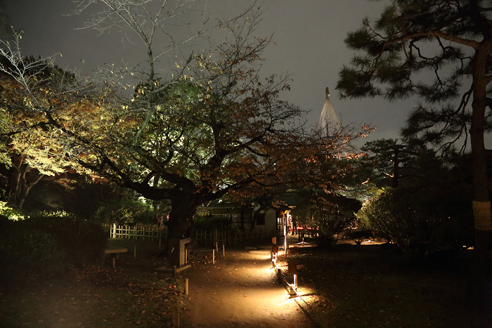 六義園 －紅葉と大名庭園のライトアップ（中編）－_b0169330_1052336.jpg