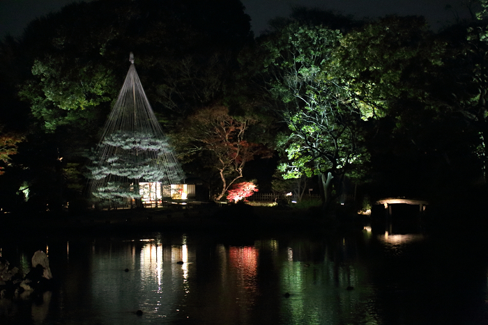 六義園 －紅葉と大名庭園のライトアップ（中編）－_b0169330_106810.jpg