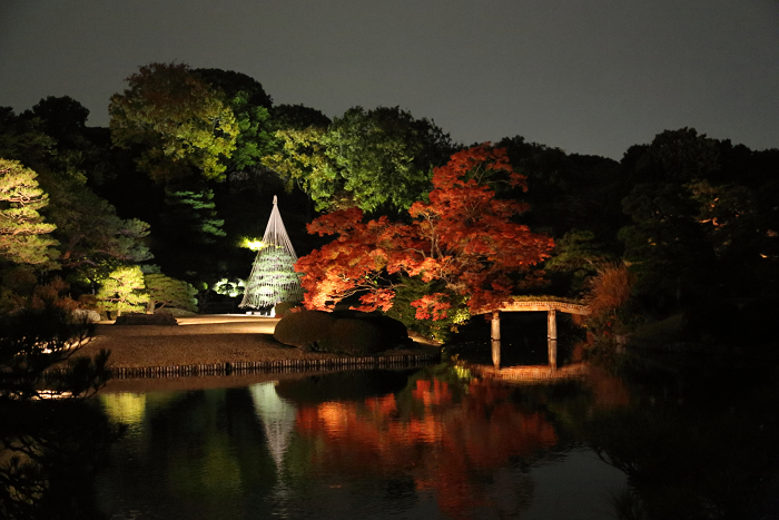 六義園 －紅葉と大名庭園のライトアップ（中編）－_b0169330_9512325.jpg