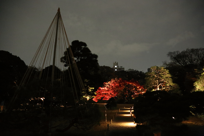 六義園 －紅葉と大名庭園のライトアップ（中編）－_b0169330_9522319.jpg