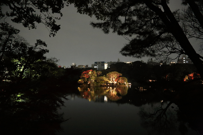 六義園 －紅葉と大名庭園のライトアップ（中編）－_b0169330_9582935.jpg