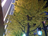 c0223331_15491195.jpg