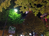 c0223331_15491879.jpg