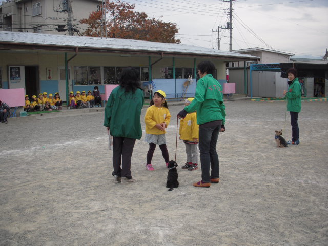 c0114833_7293181.jpg