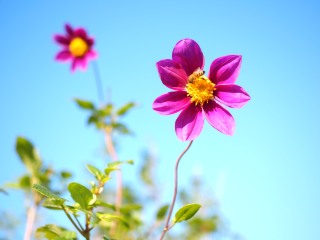 e0054635_10292079.jpg