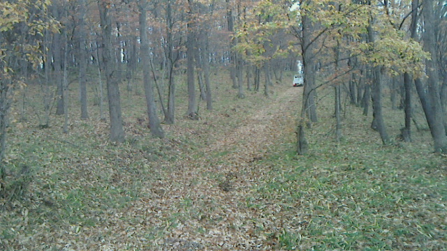 f0161535_16155133.jpg