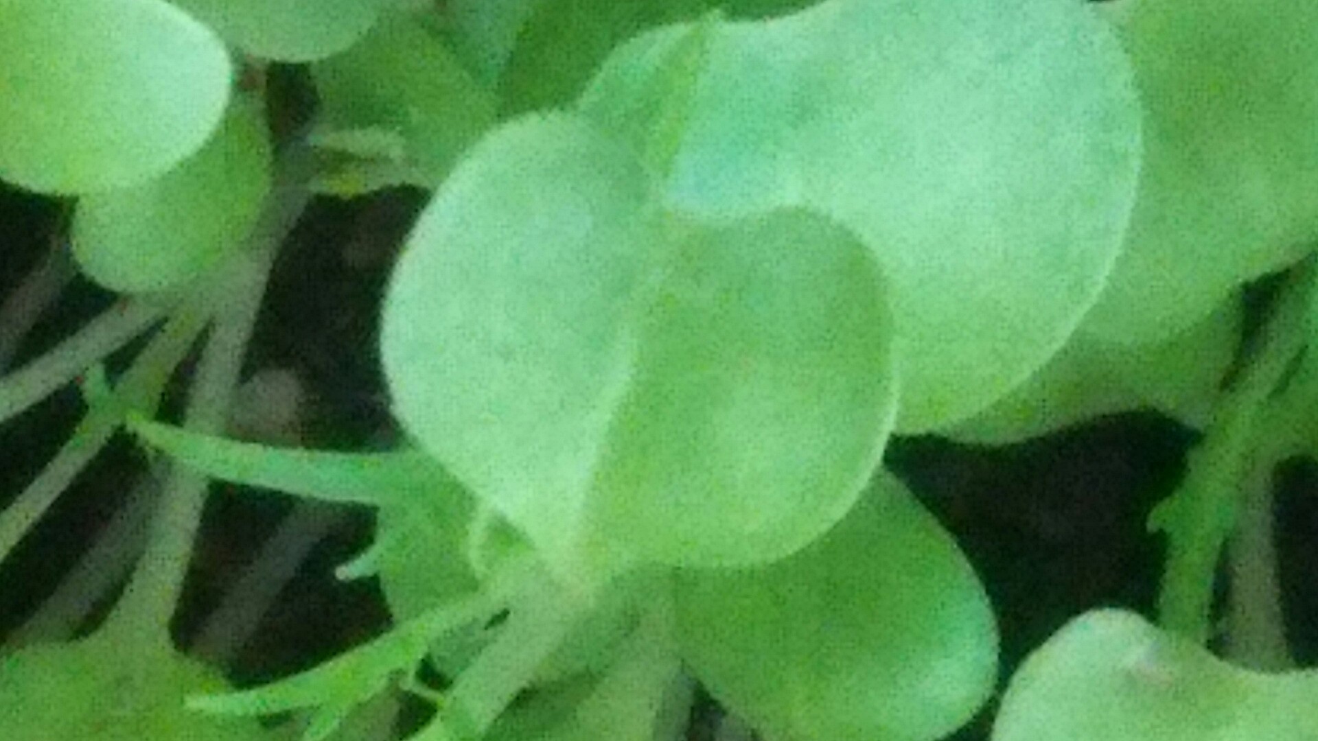 c0338136_23050031.jpg