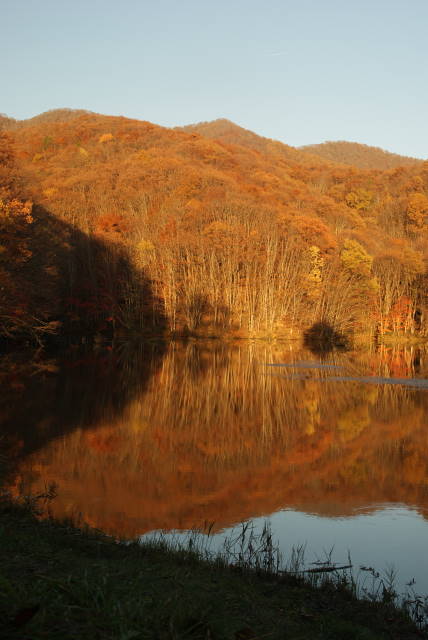 b0117437_13295682.jpg