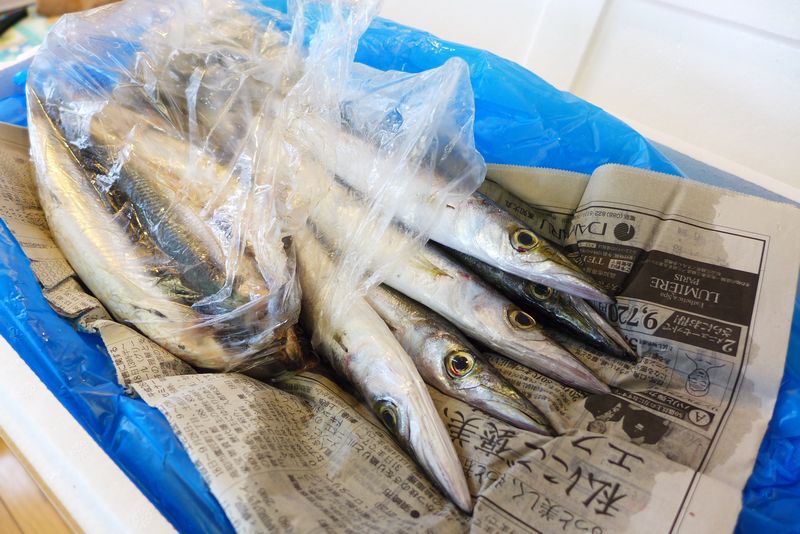 通販生活 のんきな魚屋さん 堀内農園 さん くま先生の滋賀が大好き 通販生活 のんきな魚屋さん 堀内農園 さん くま先生の滋賀が大好き