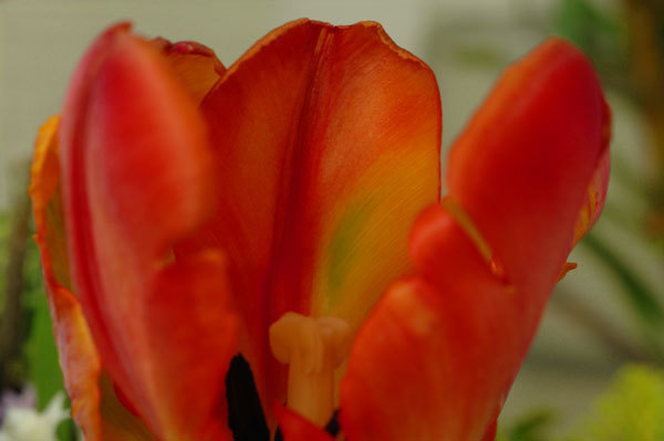 c0346840_15421079.jpg