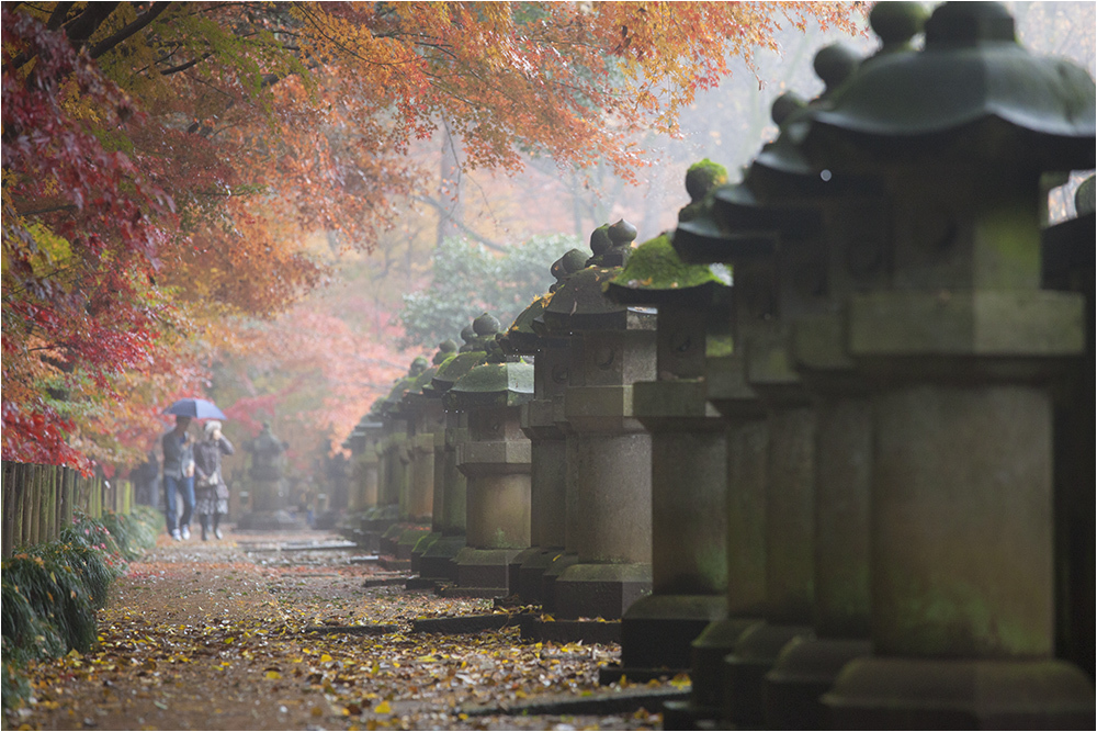 2014　平林寺紅葉三昧３_d0328840_02300038.jpg