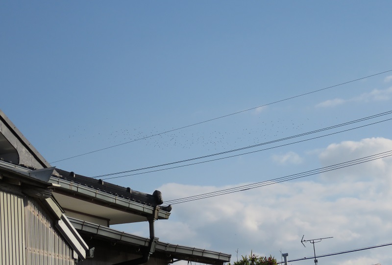 b0288942_90424.jpg
