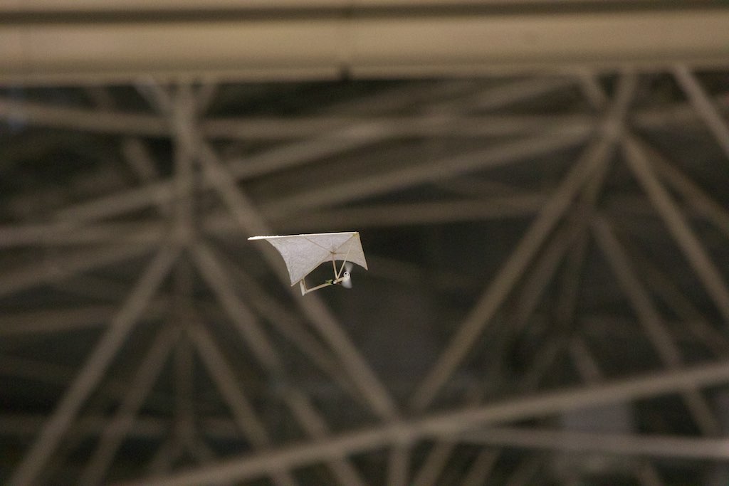 MFT2014ビッグサイト内上空の制空権確保! #mft2014_d0067943_13224448.jpg