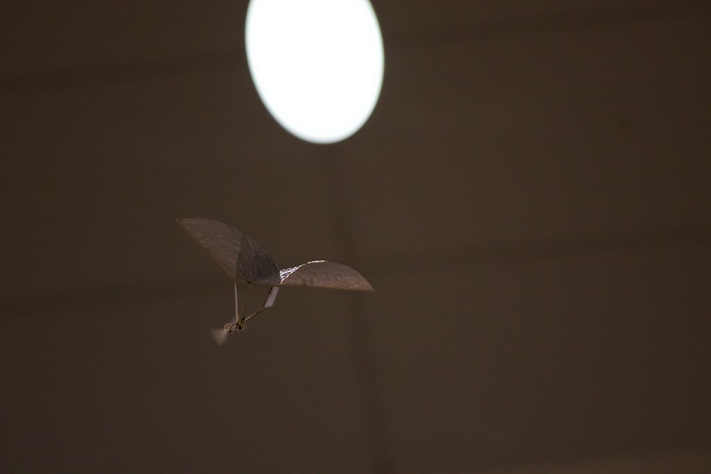 MFT2014ビッグサイト内上空の制空権確保! #mft2014_d0067943_134312.jpg