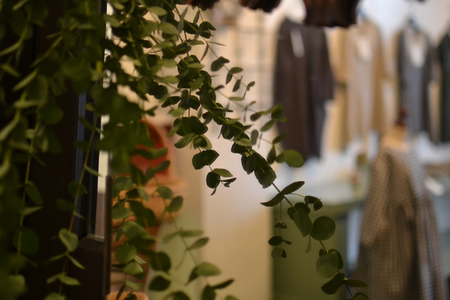 個展の服、3&在廊について。_d0227246_22593548.jpg