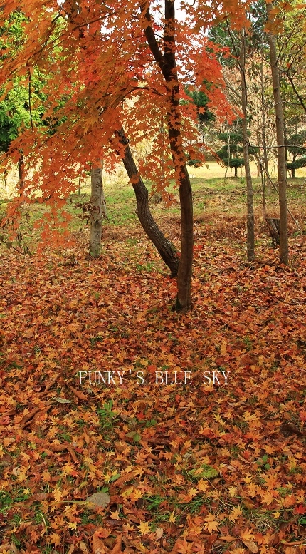 c0145250_14221896.jpg