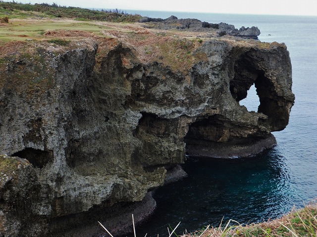 d0048350_2154473.jpg