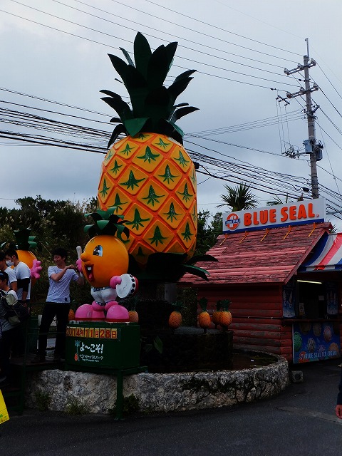 d0048350_215455100.jpg