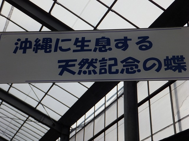 d0048350_21552513.jpg
