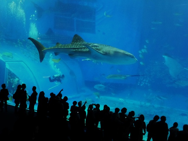 d0048350_21553985.jpg