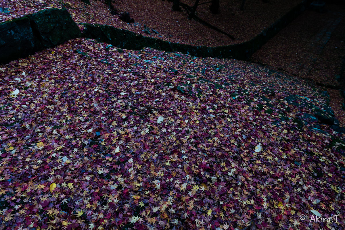 f0152550_22224868.jpg
