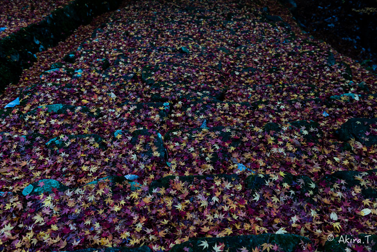 f0152550_22234694.jpg