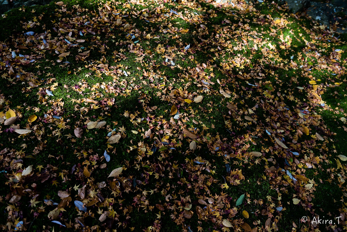 f0152550_22275984.jpg