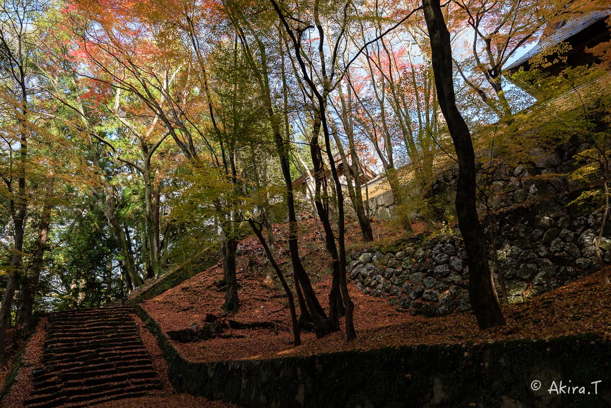 f0152550_22292954.jpg