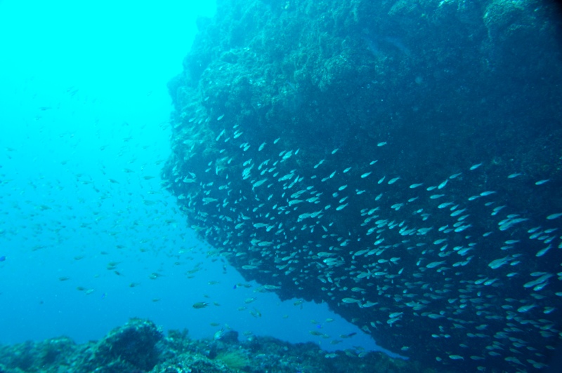 お酒が眠る海_b0308353_15273772.jpg