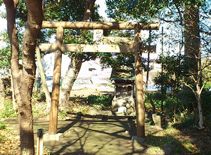 a0057057_1416213.png