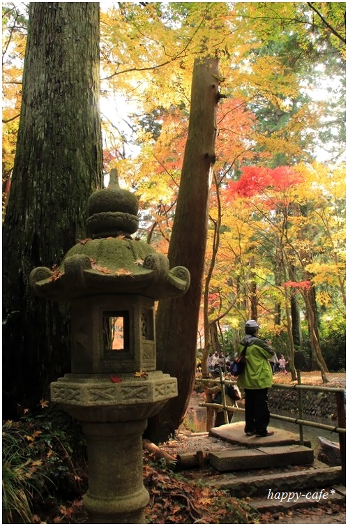 紅葉トンネル♪　～小国神社～_a0167759_2049362.jpg