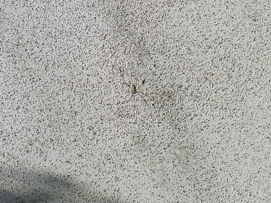 c0247861_23022052.jpg