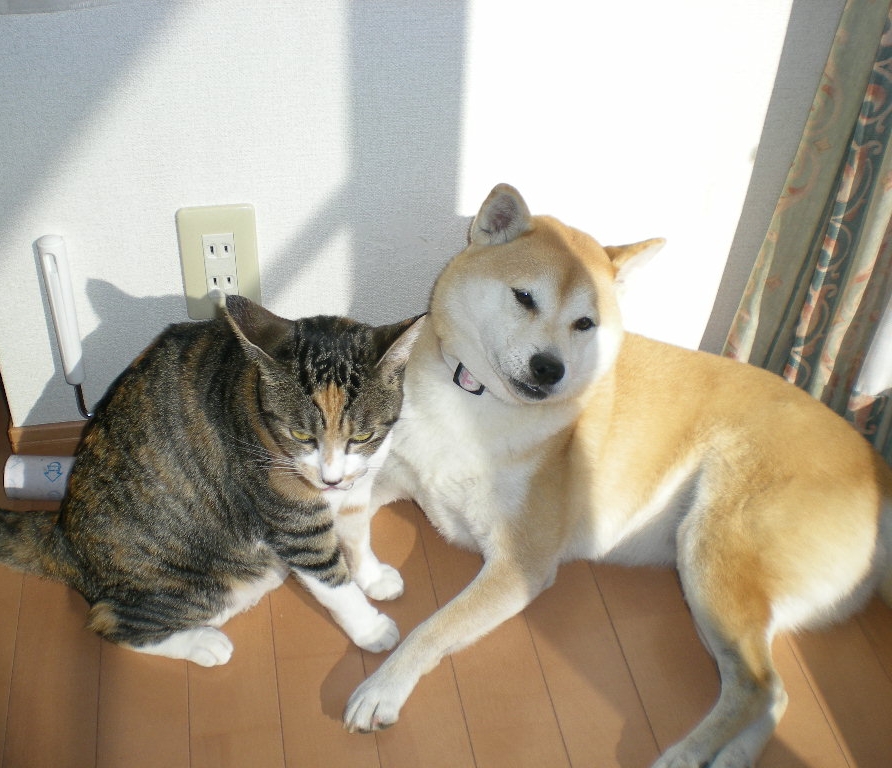 ’14,12,4(木)えっ?次はコントの会ですって!_f0060461_20212744.jpg