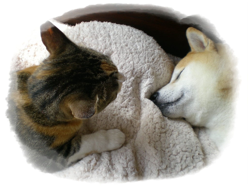 ’14,12,4(木)えっ?次はコントの会ですって!_f0060461_2024431.jpg