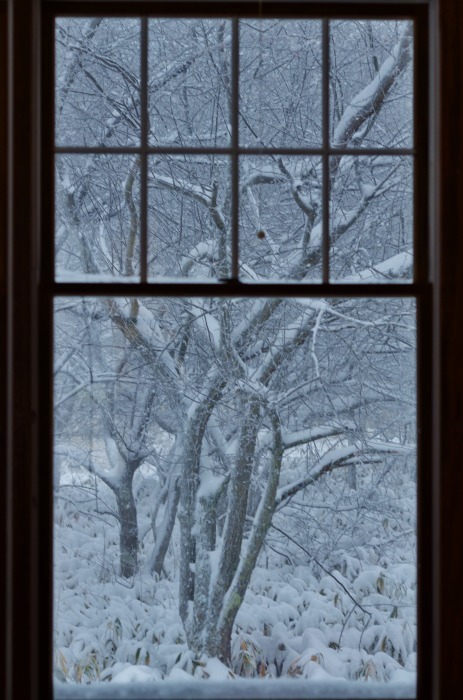 大雪_b0341869_17062929.jpg