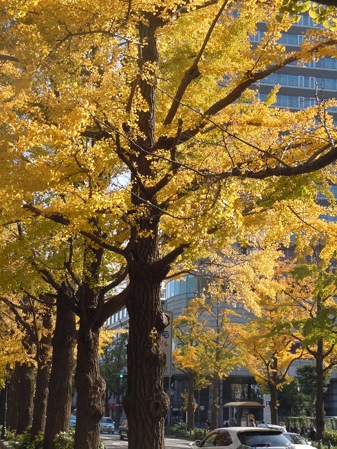 d0111174_1652153.jpg