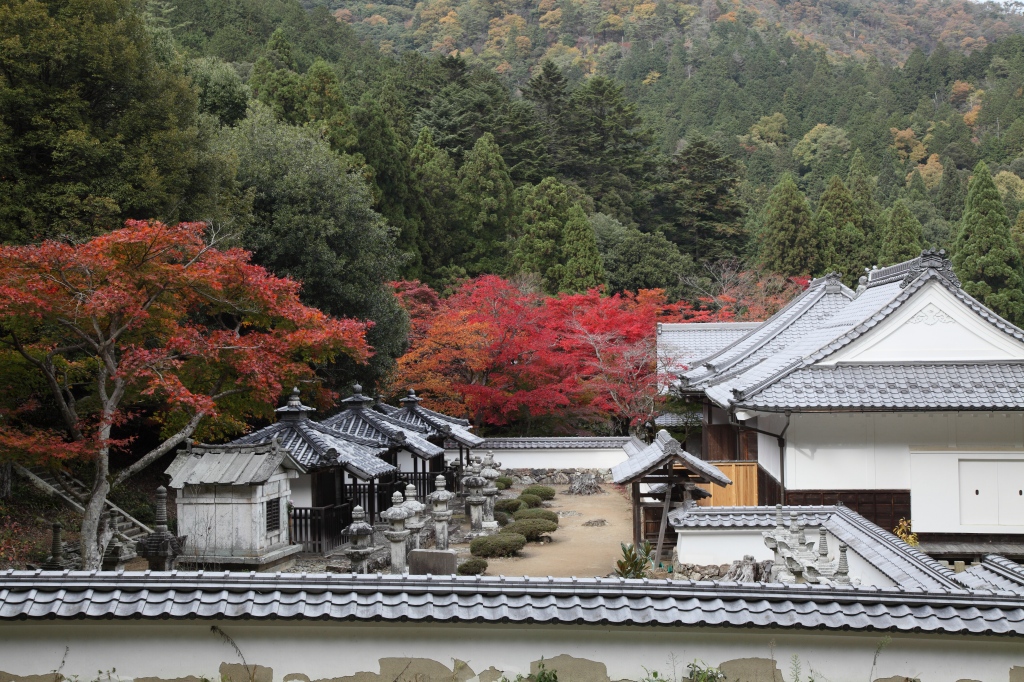 清瀧寺徳源院_c0196076_7433077.jpg