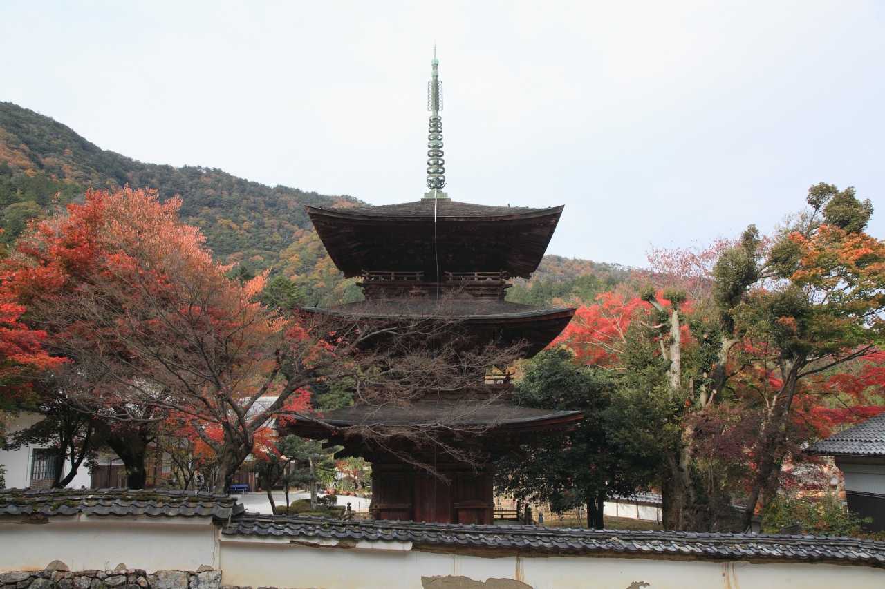 清瀧寺徳源院_c0196076_7445644.jpg