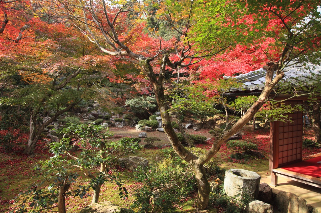 清瀧寺徳源院_c0196076_7453469.jpg