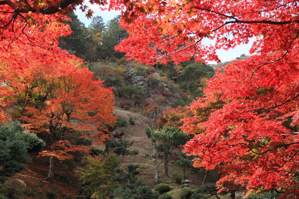 清瀧寺徳源院_c0196076_746391.jpg