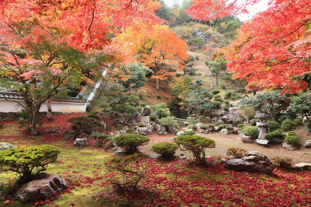 清瀧寺徳源院_c0196076_7484217.jpg