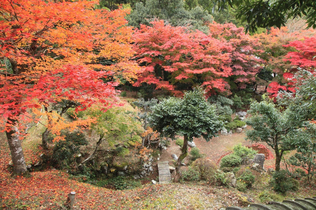 清瀧寺徳源院_c0196076_7502217.jpg