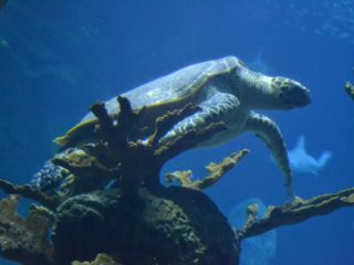 e0203878_219025.jpg