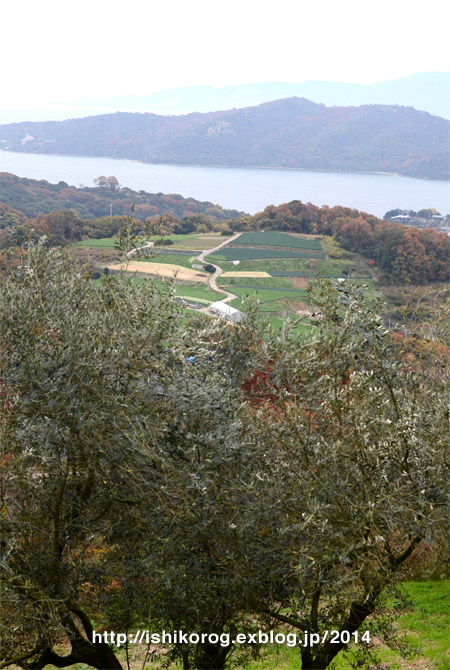 a0223379_020891.jpg