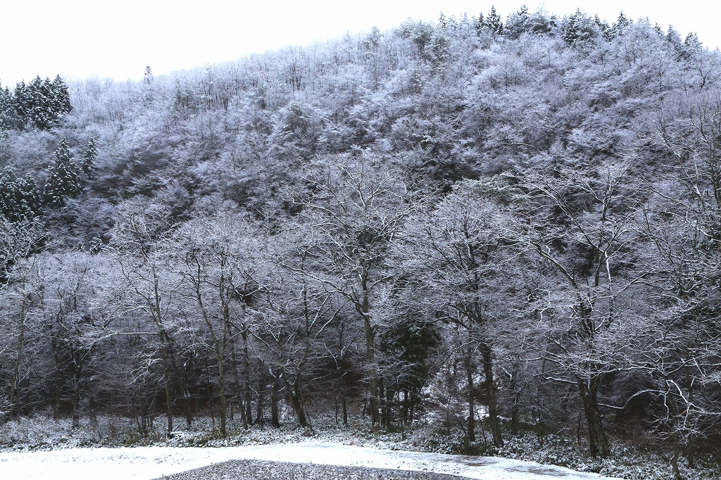 e0091879_201228100.jpg
