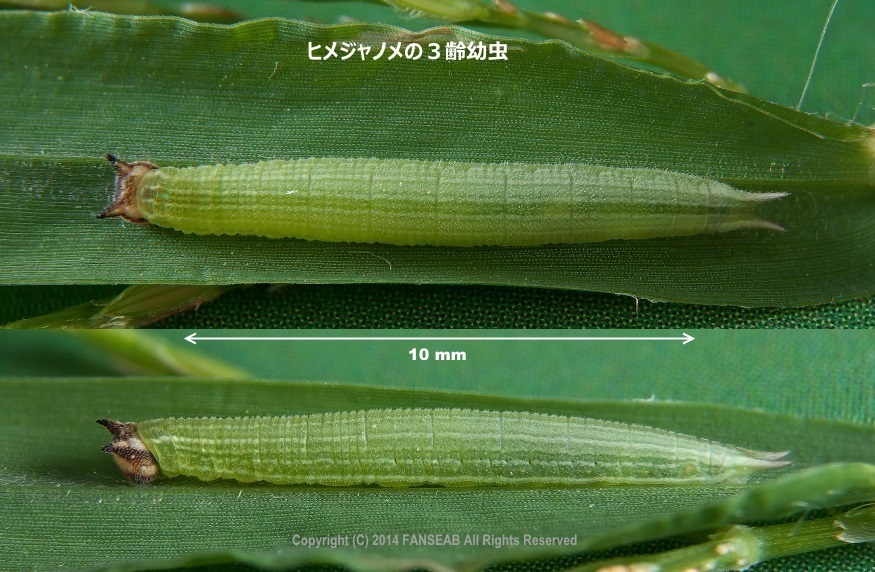 f0090680_20575439.jpg