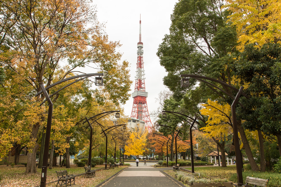 芝公園 紅葉 Small Scenery ちいさな視点 芝公園 紅葉 Small Scenery ちいさな視点