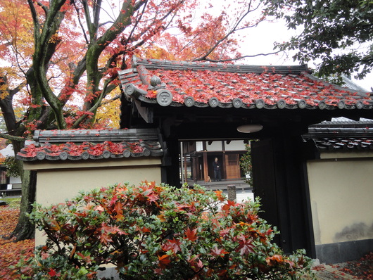 京都「大徳寺」の紅葉＆泉仙の鉄鉢料理（てっぱつりょうり）・・②_a0258386_8575685.jpg